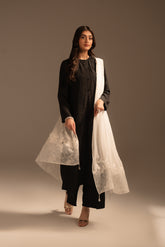 1 Piece Chiffon Embroidered Dupattas/Stoles (FD0048)